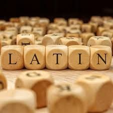 Τα Επίθετα στα Λατινικά (Θεωρία)